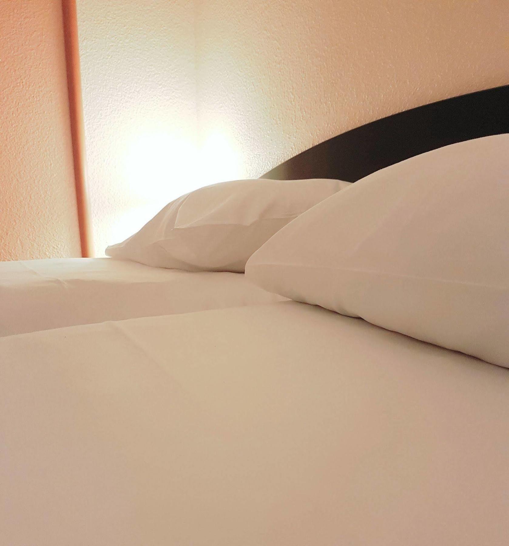 Ibis Archamps Porte De Geneve מראה חיצוני תמונה